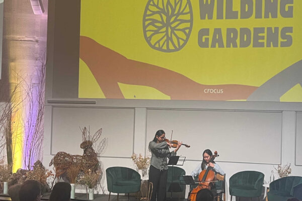 Willow animal sculptures